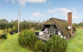 Pet Friendly Home In Ulfborg With Wifi